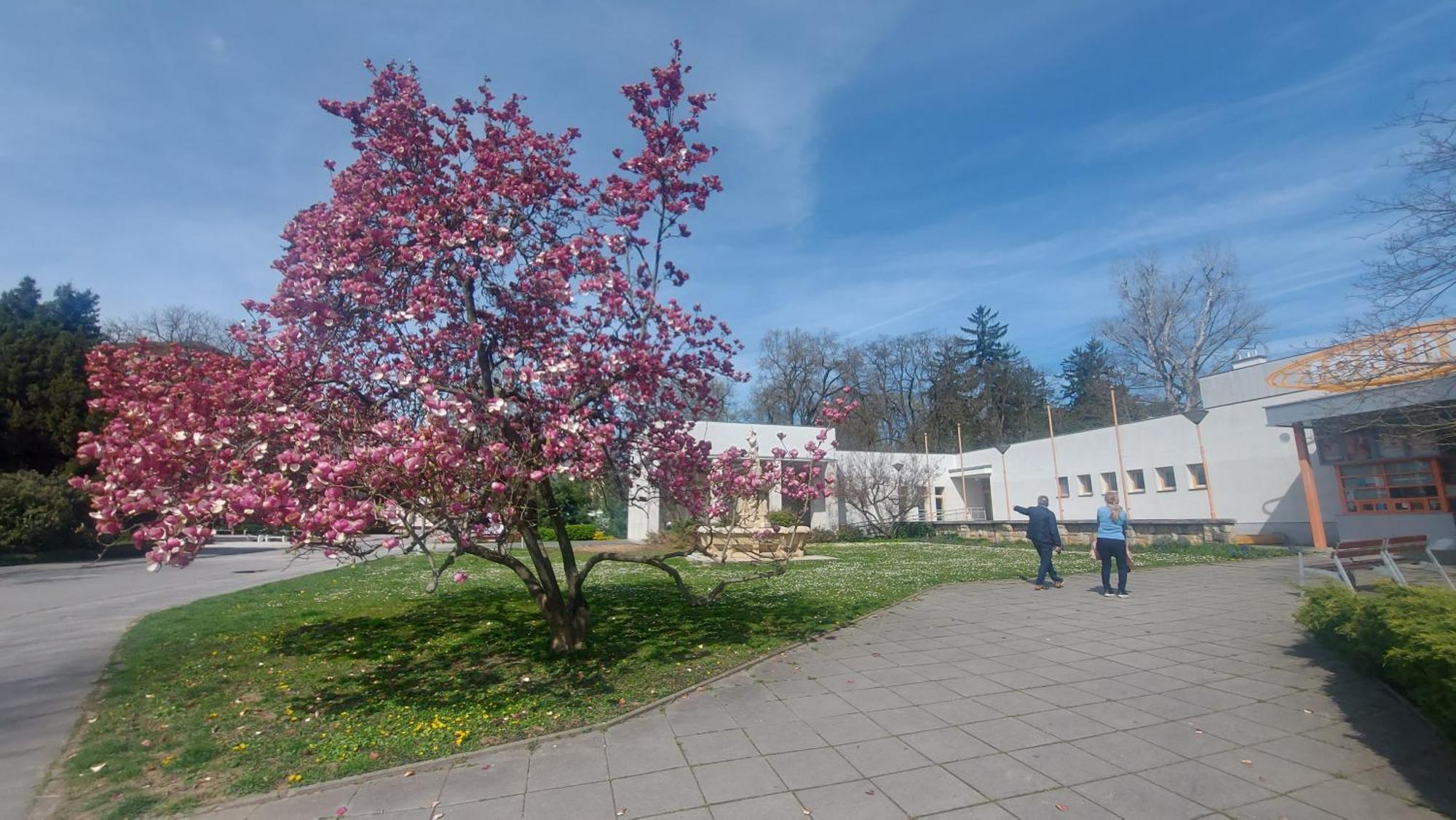 Villa Dom Na Cervenej Vezi Banka Exterior foto